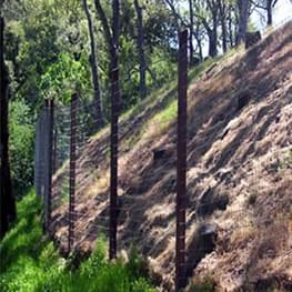 Morgan Fence